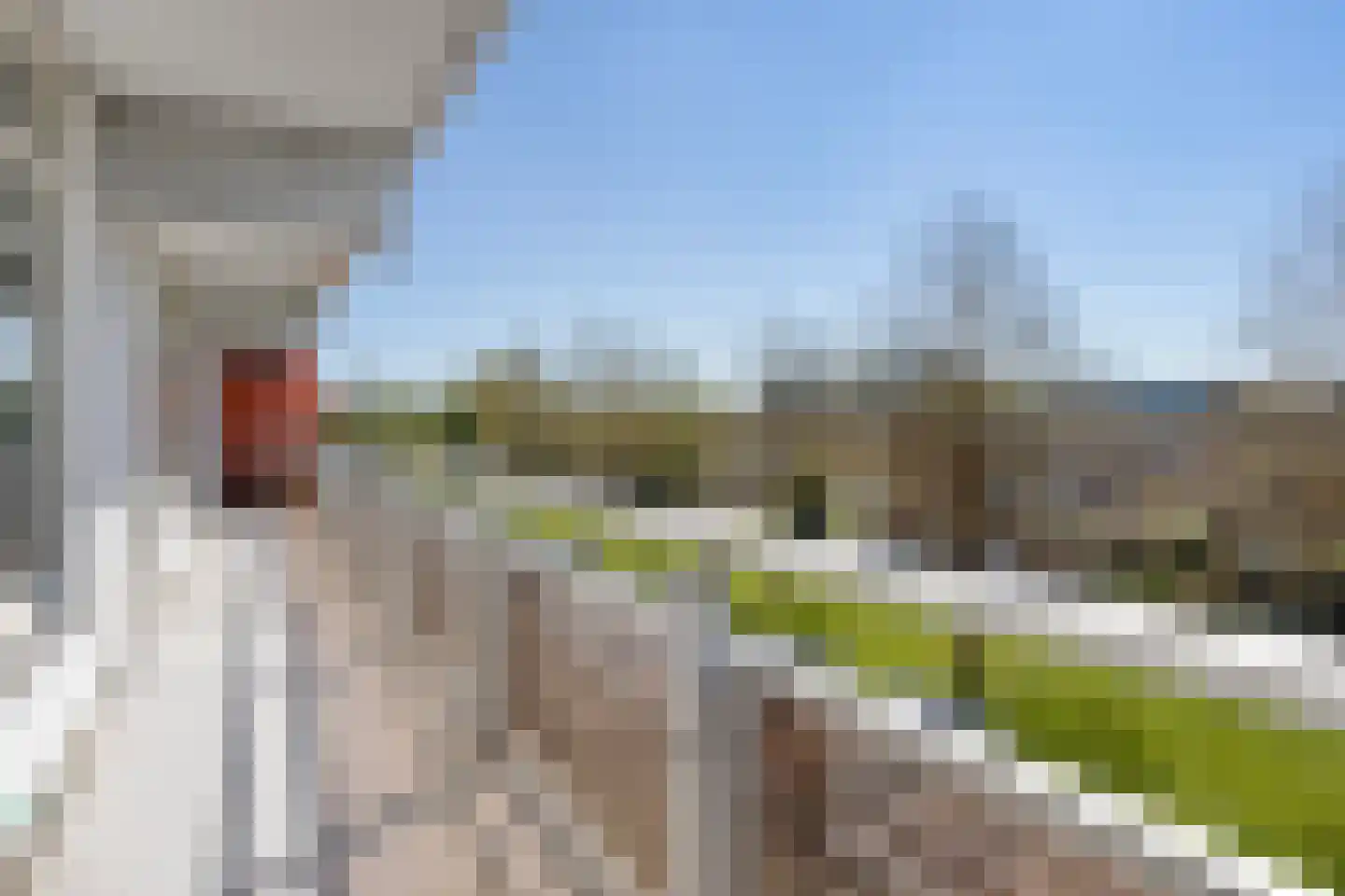 Peter van Anrooylaan 186 Terneuzen thumbnail 40