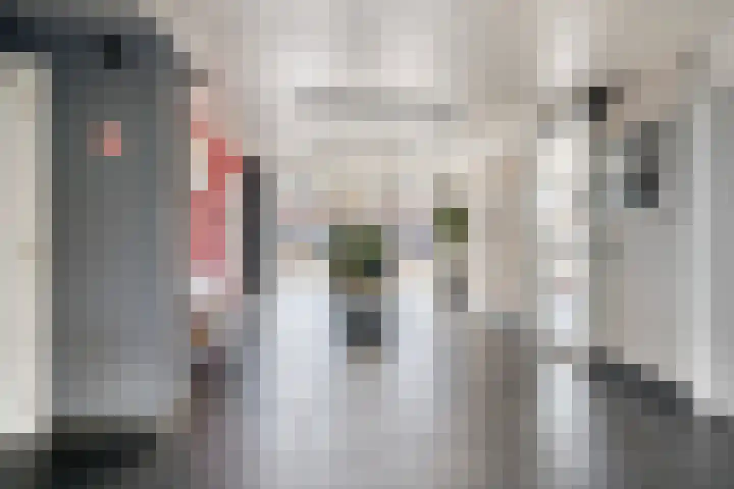 Peter van Anrooylaan 186 Terneuzen thumbnail 8