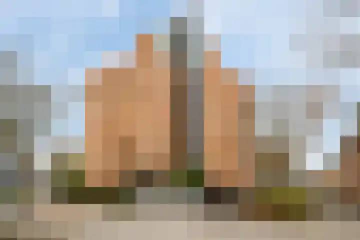 Peter van Anrooylaan 195 Maassluis thumbnail 38
