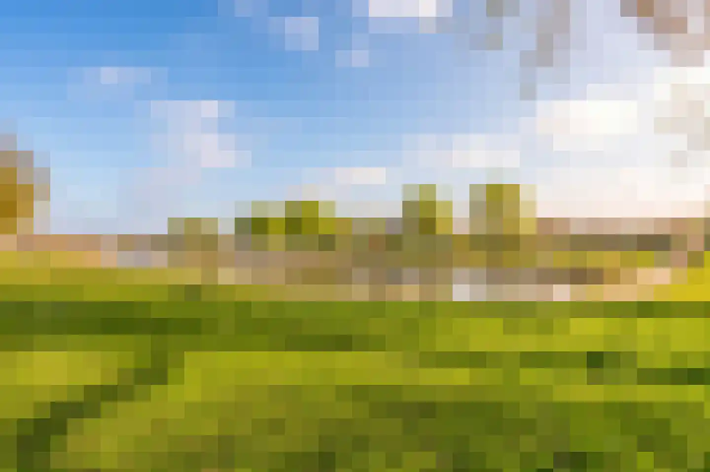 Peter van Anrooylaan 208 Terneuzen thumbnail 28