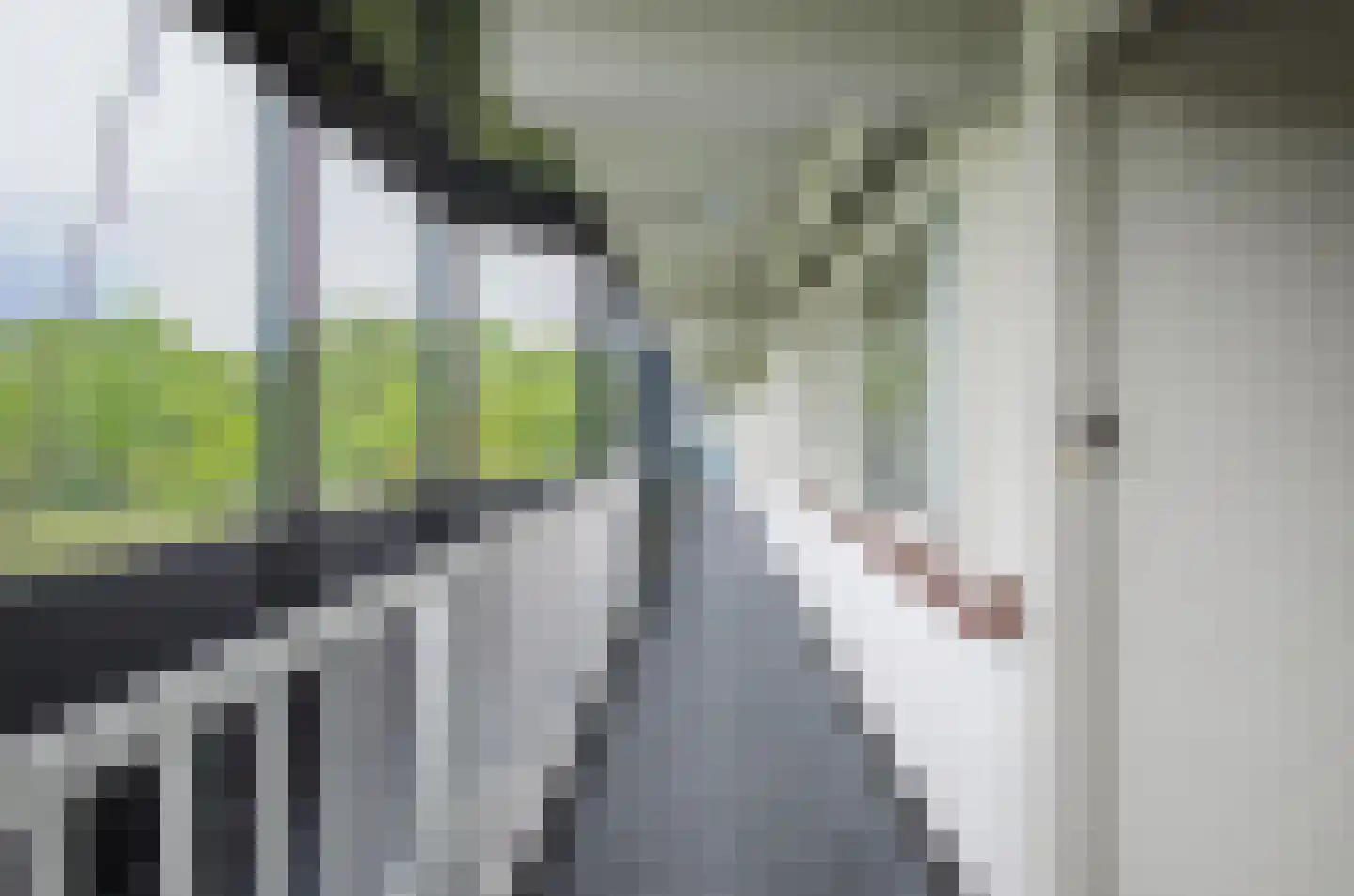 Peter van Anrooylaan 208 Terneuzen thumbnail 6