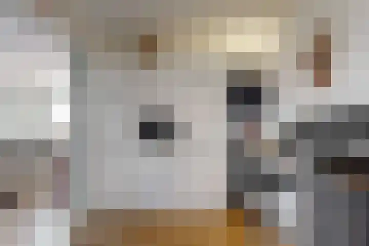 Peter van Anrooylaan 213 Maassluis thumbnail 30