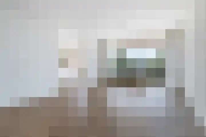 Peter van Anrooylaan 232 Terneuzen thumbnail 10
