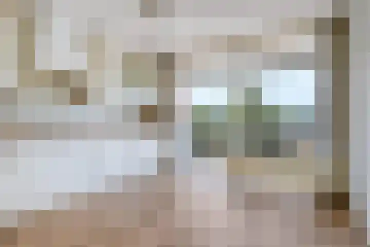 Peter van Anrooylaan 232 Terneuzen thumbnail 15