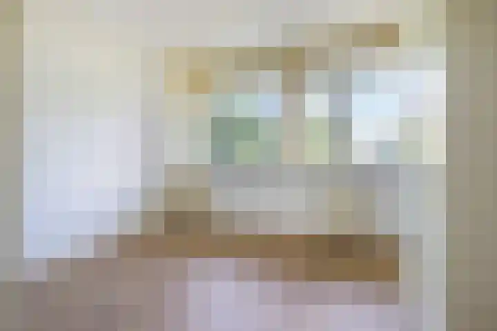 Peter van Anrooylaan 232 Terneuzen thumbnail 19