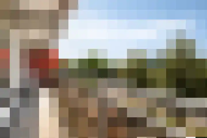 Peter van Anrooylaan 232 Terneuzen thumbnail 26