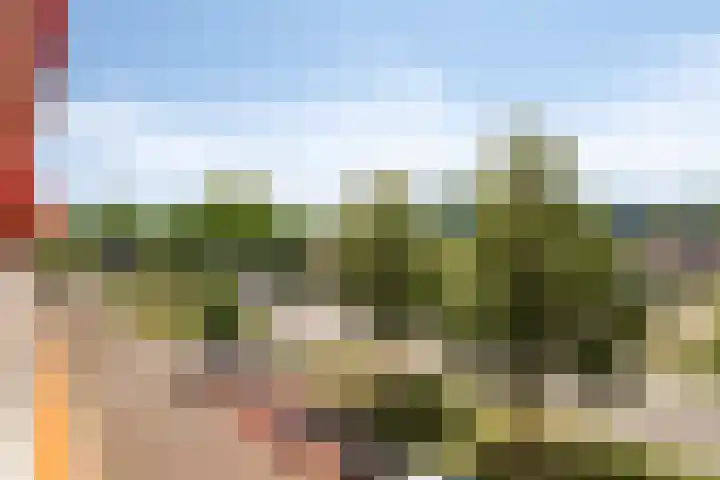 Peter van Anrooylaan 232 Terneuzen thumbnail 27