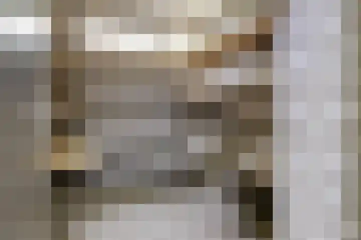 Peter van Anrooylaan 232 Terneuzen thumbnail 29