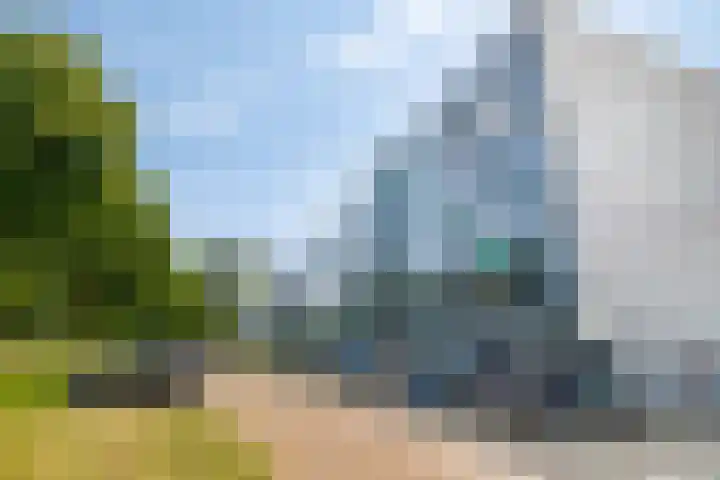 Peter van Anrooylaan 232 Terneuzen thumbnail 32