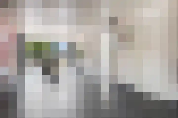 Peter van Anrooylaan 232 Terneuzen thumbnail 4