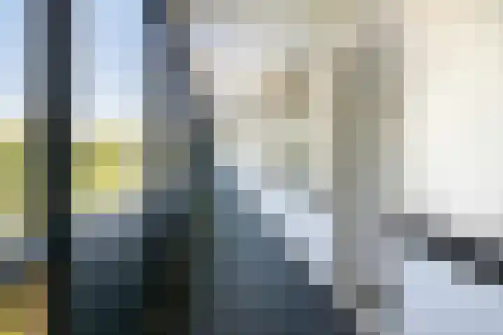 Peter van Anrooylaan 232 Terneuzen thumbnail 6