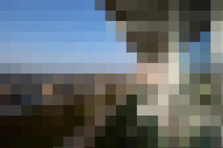 Peter van Anrooylaan 268 Terneuzen thumbnail 4