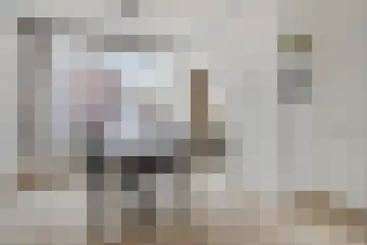 Peter van Anrooylaan 27 Terneuzen thumbnail 12