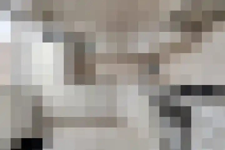 Peter van Anrooylaan 27 Terneuzen thumbnail 15