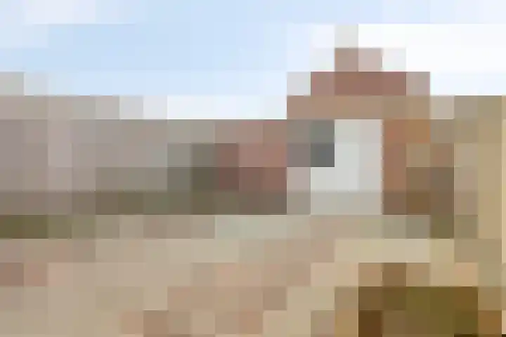 Peter van Anrooylaan 27 Terneuzen thumbnail 28