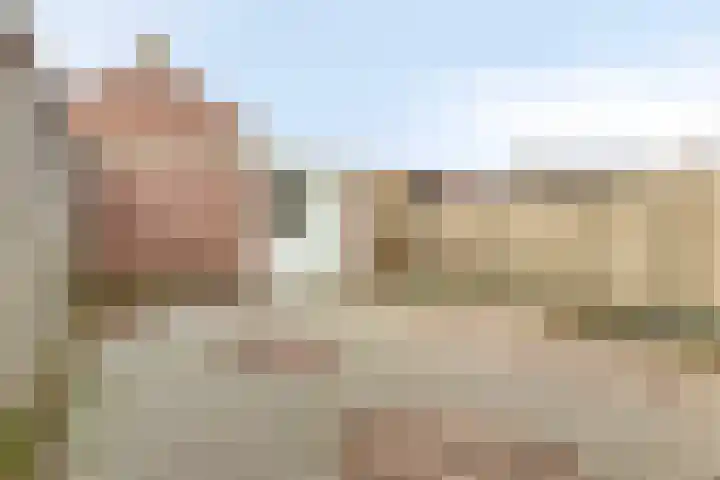 Peter van Anrooylaan 27 Terneuzen thumbnail 29