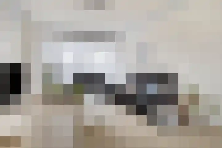 Peter van Anrooylaan 27 Terneuzen thumbnail 8