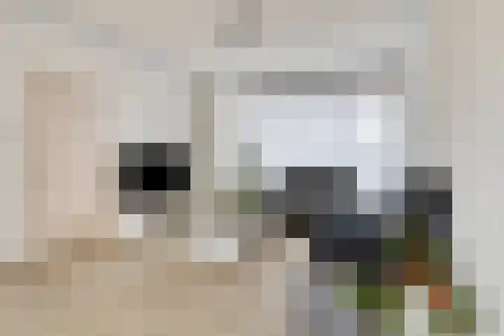 Peter van Anrooylaan 27 Terneuzen thumbnail 9