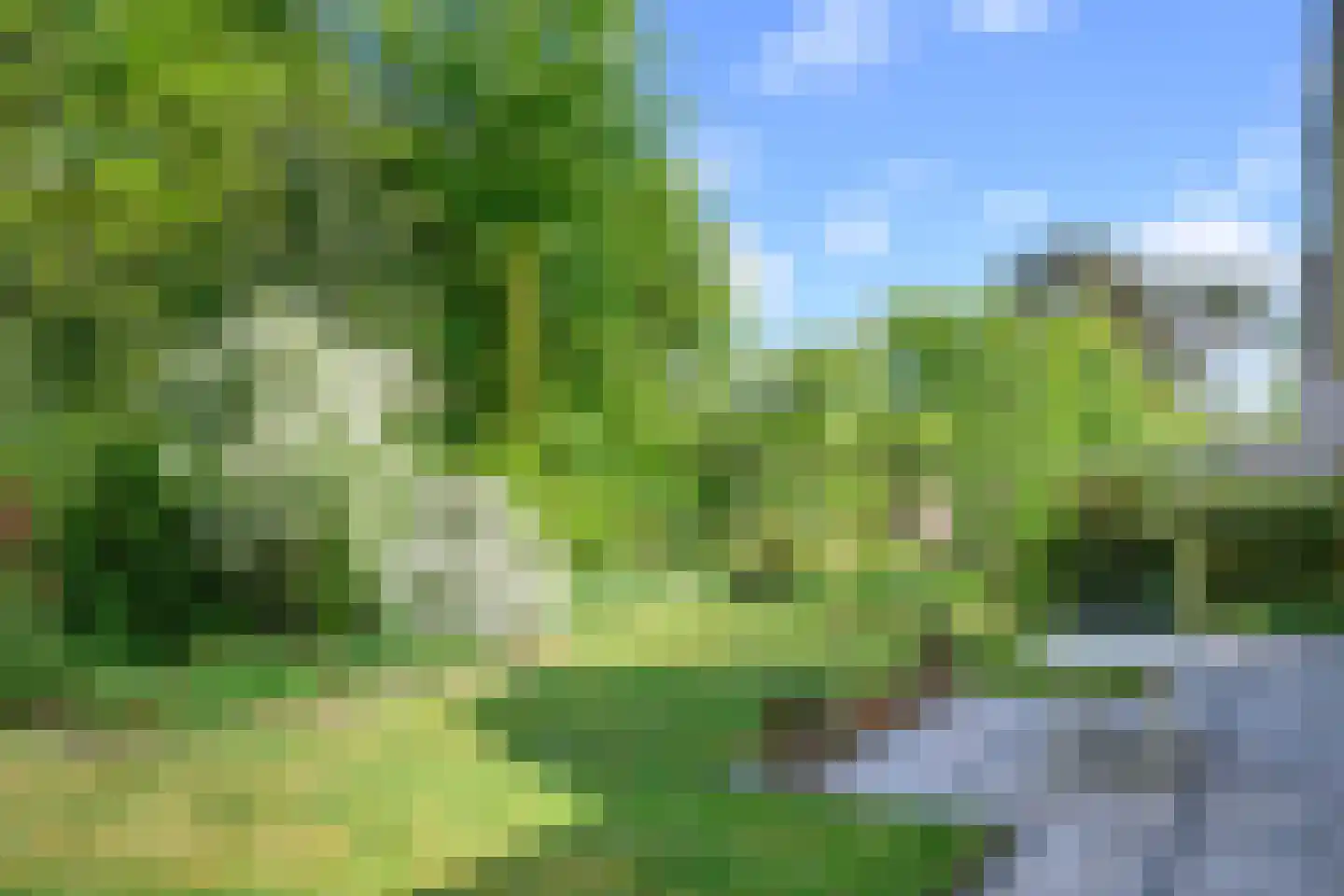 Peter van Anrooylaan 37 Dieren thumbnail 26