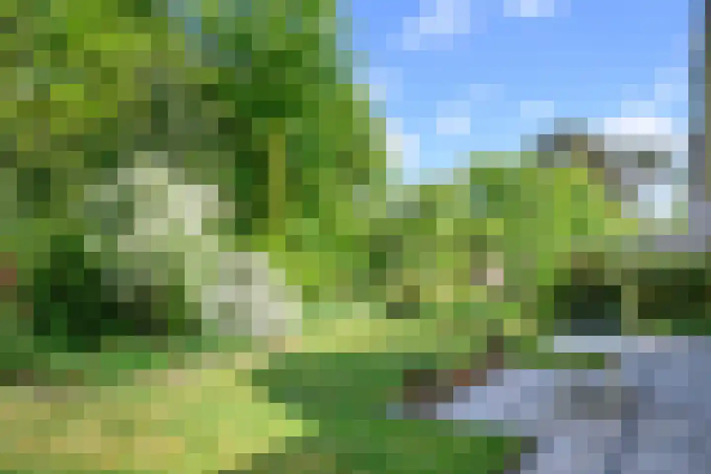 Peter van Anrooylaan 37 Dieren thumbnail 26