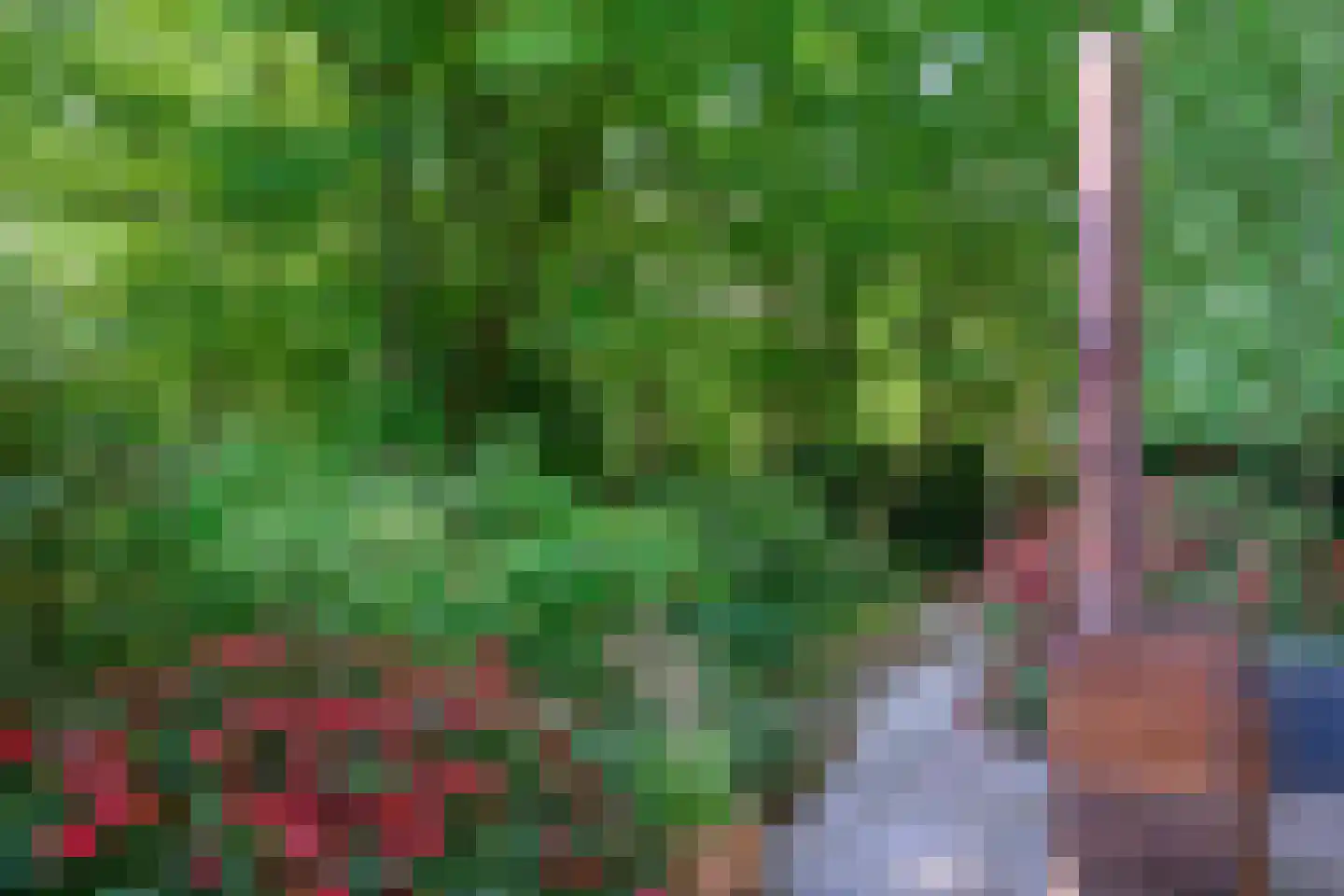 Peter van Anrooylaan 37 Dieren thumbnail 30