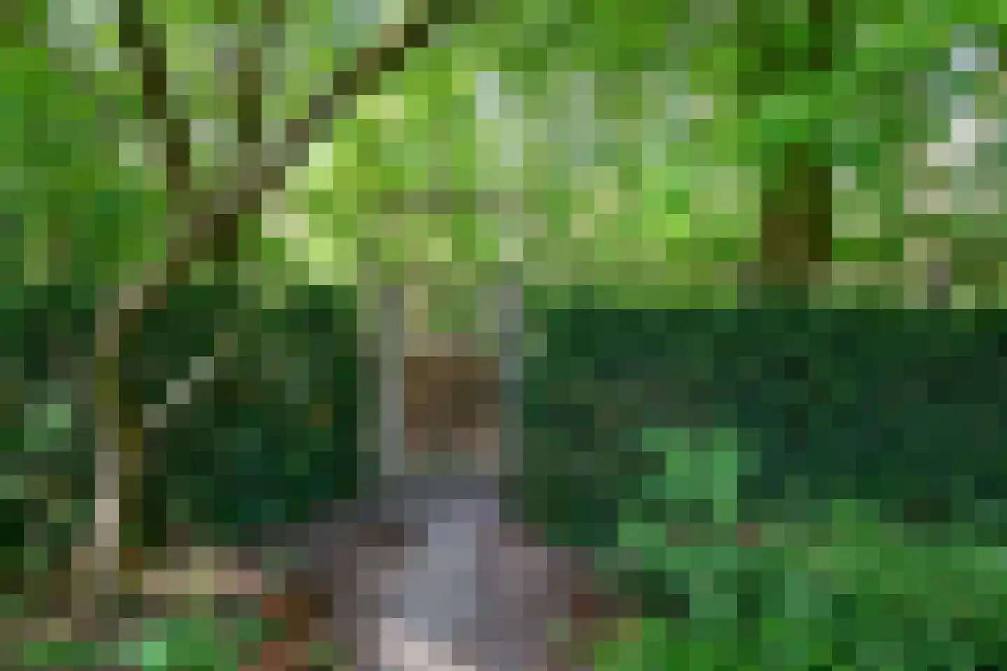 Peter van Anrooylaan 37 Dieren thumbnail 31
