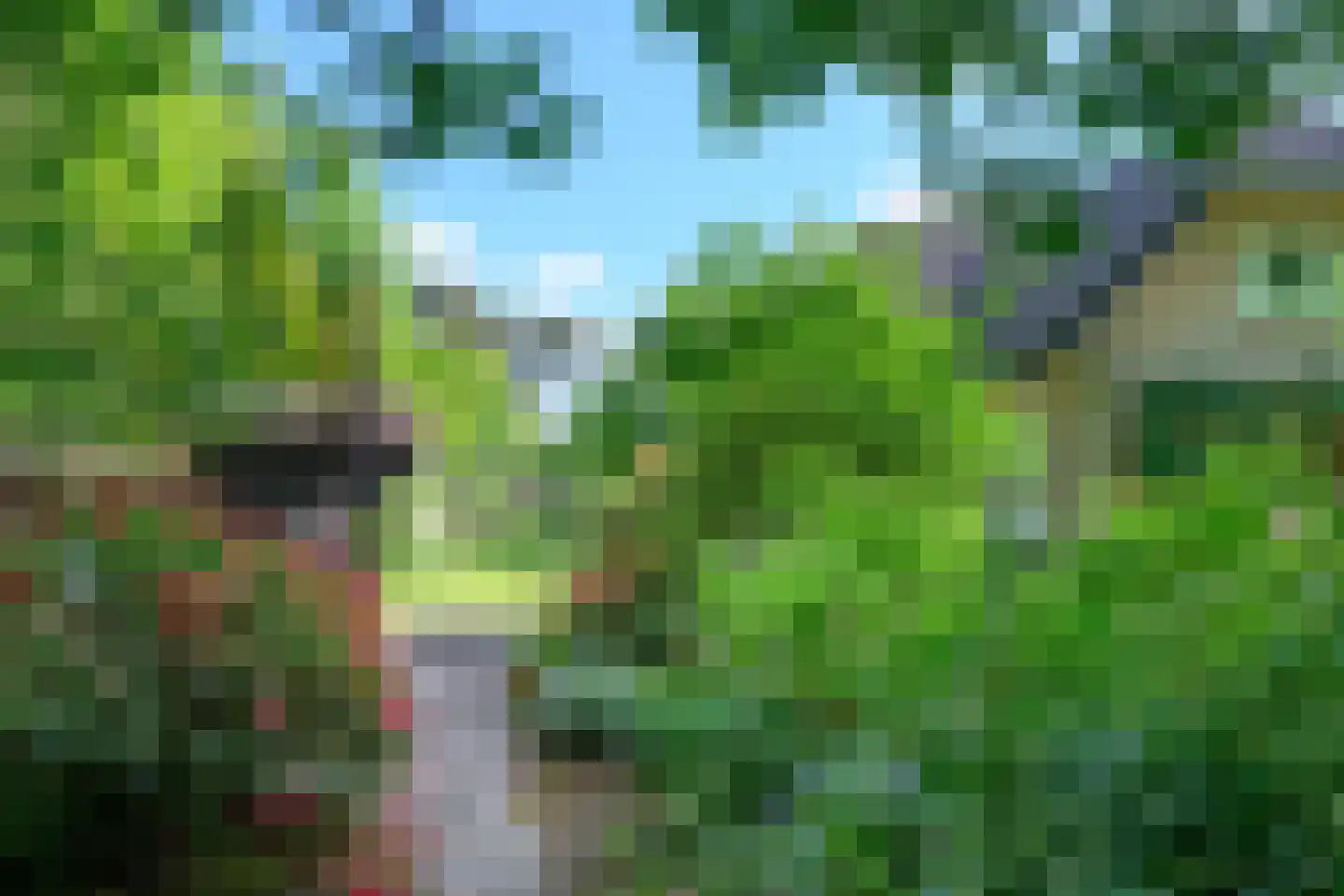 Peter van Anrooylaan 37 Dieren thumbnail 32