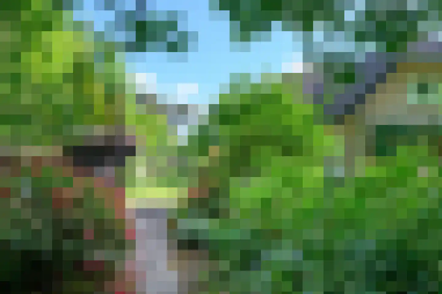 Peter van Anrooylaan 37 Dieren thumbnail 32