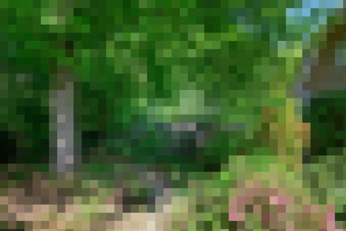 Peter van Anrooylaan 37 Dieren thumbnail 33