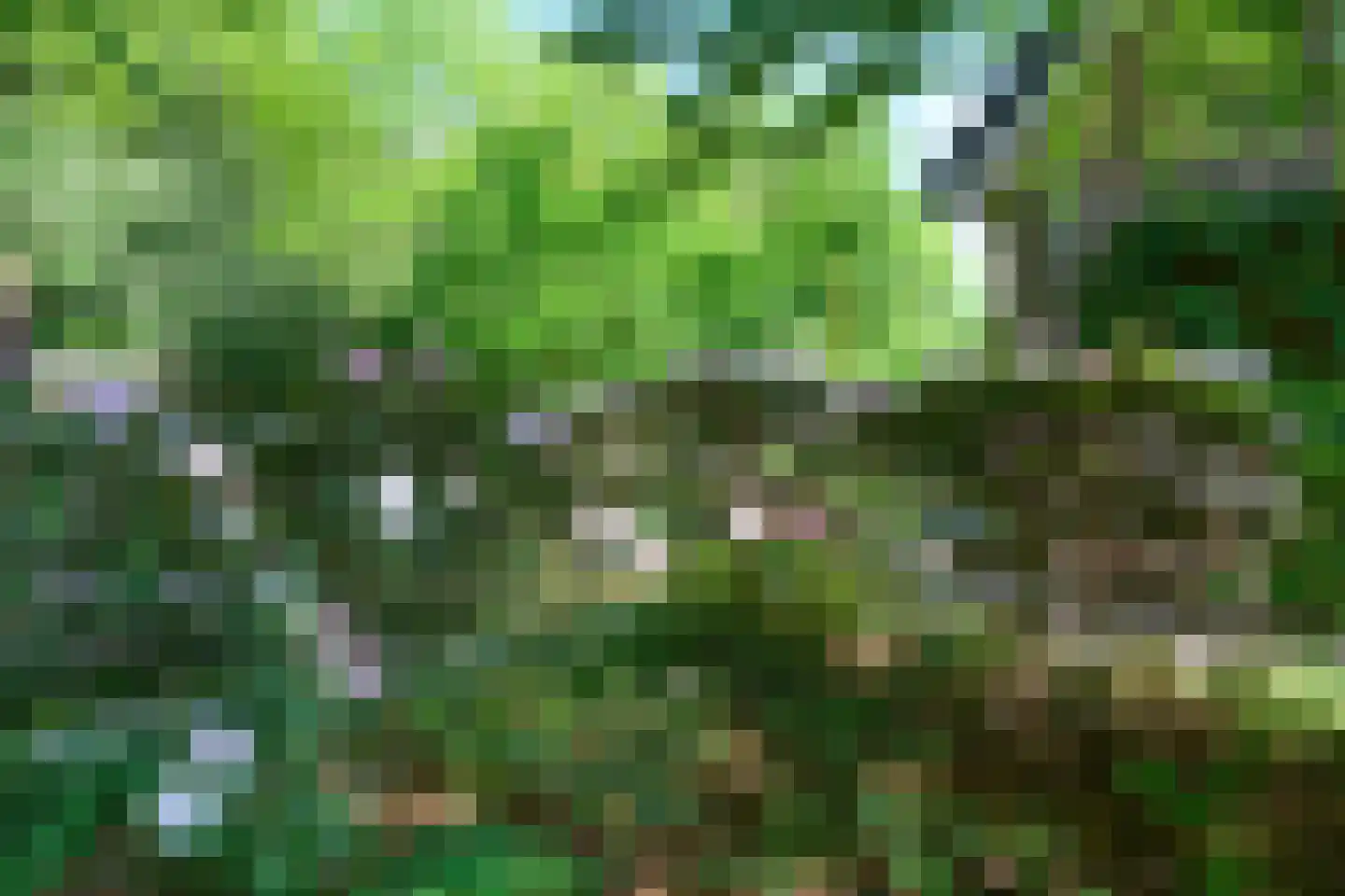 Peter van Anrooylaan 37 Dieren thumbnail 34