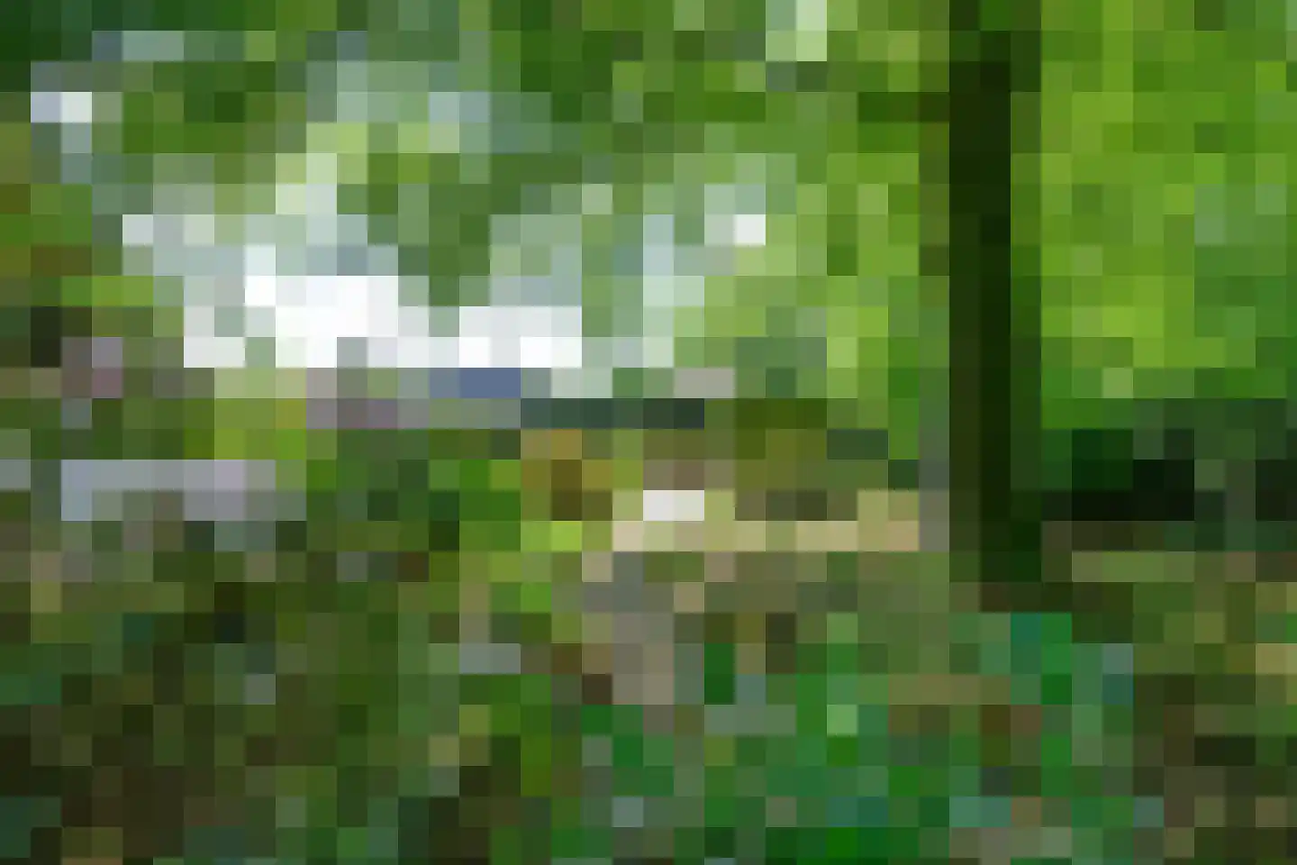 Peter van Anrooylaan 37 Dieren thumbnail 35
