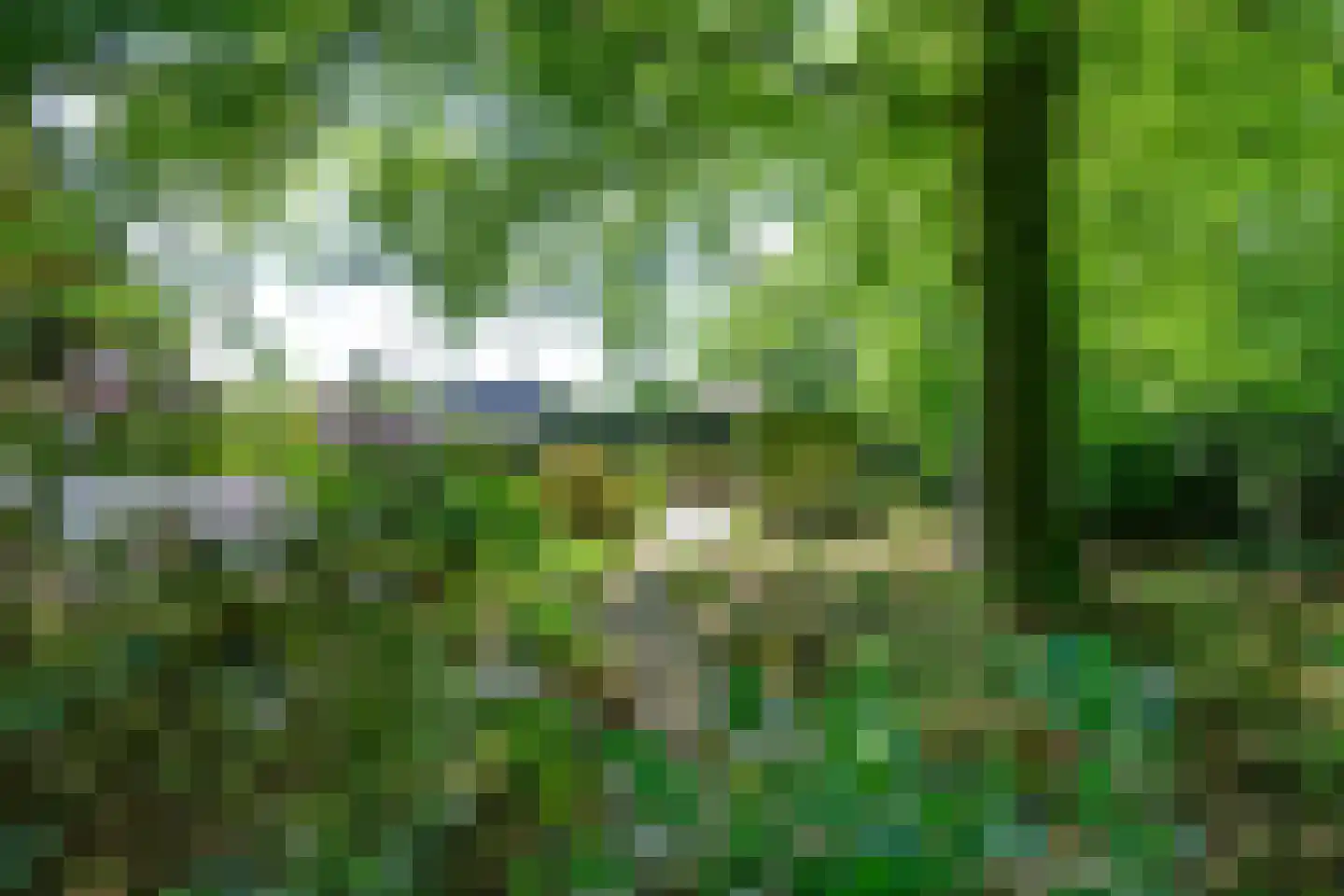 Peter van Anrooylaan 37 Dieren thumbnail 35