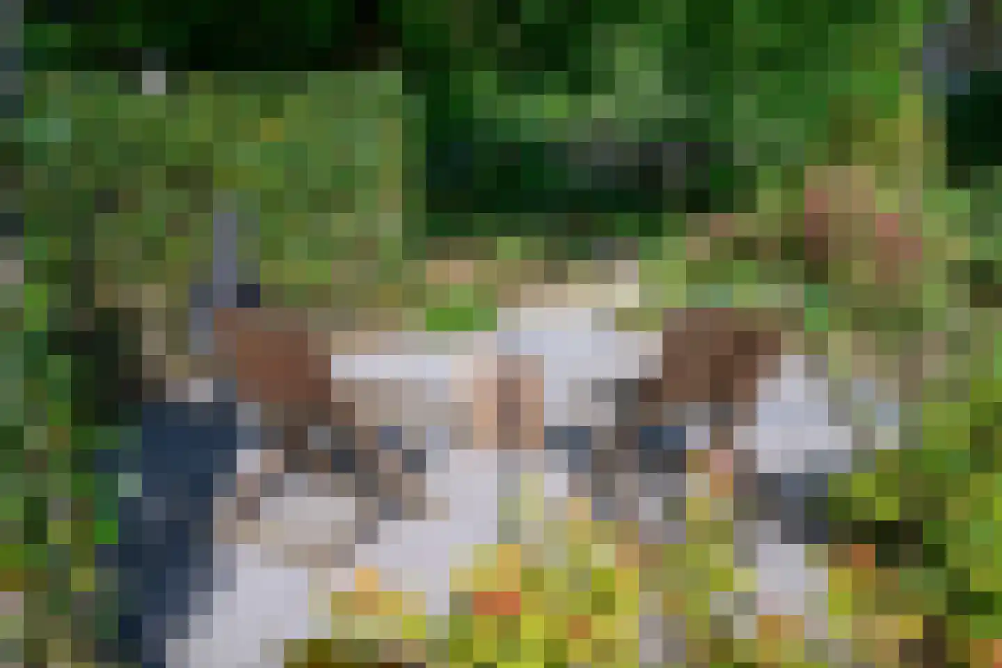 Peter van Anrooylaan 37 Dieren thumbnail 37