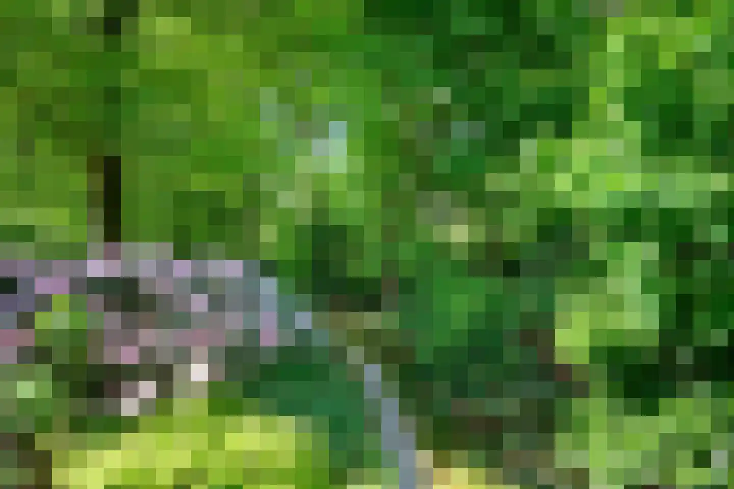 Peter van Anrooylaan 37 Dieren thumbnail 40