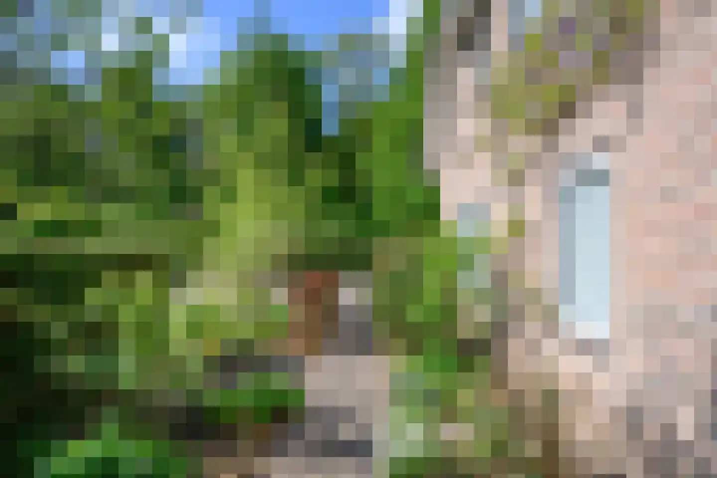 Peter van Anrooylaan 37 Dieren thumbnail 42