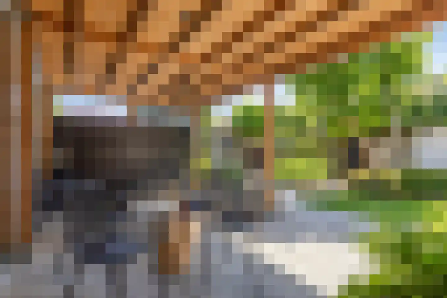 Peter van Anrooylaan 49 Eindhoven thumbnail 14