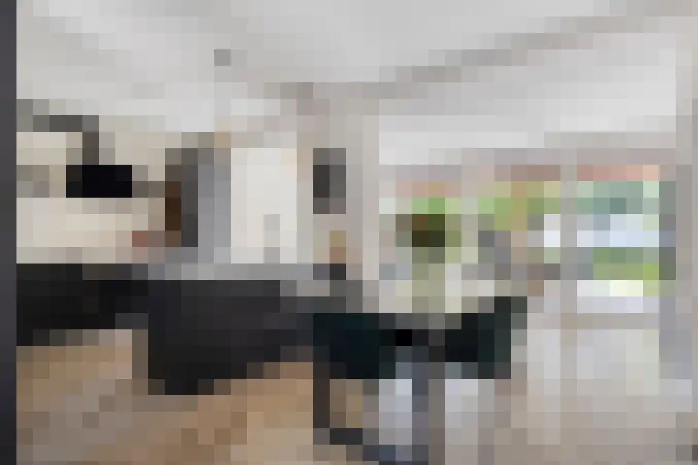 Peter van Anrooylaan 49 Eindhoven thumbnail 4