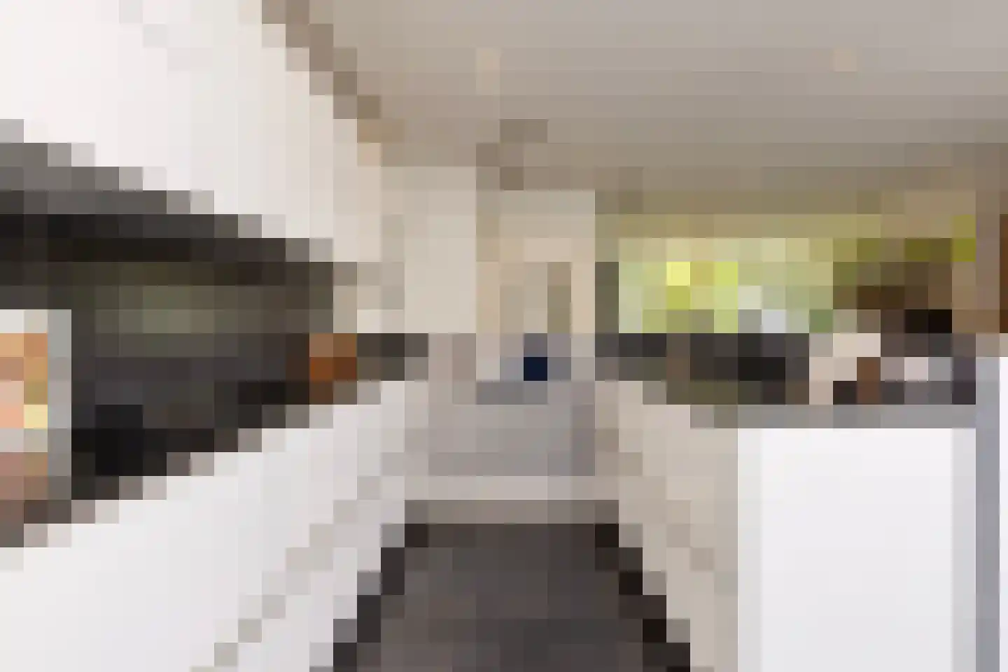 Peter van Anrooylaan 64 Eindhoven thumbnail 14