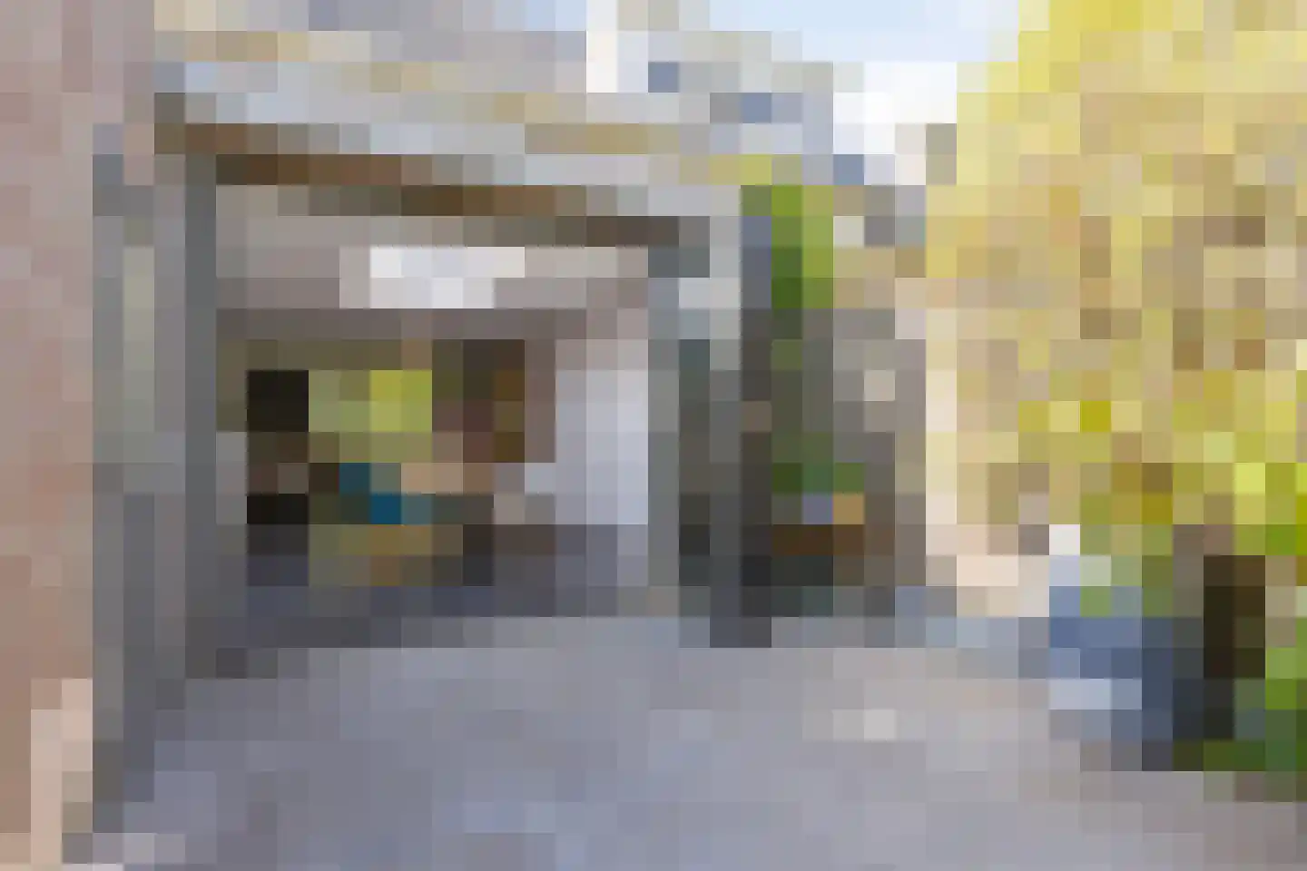 Peter van Anrooylaan 64 Eindhoven thumbnail 36