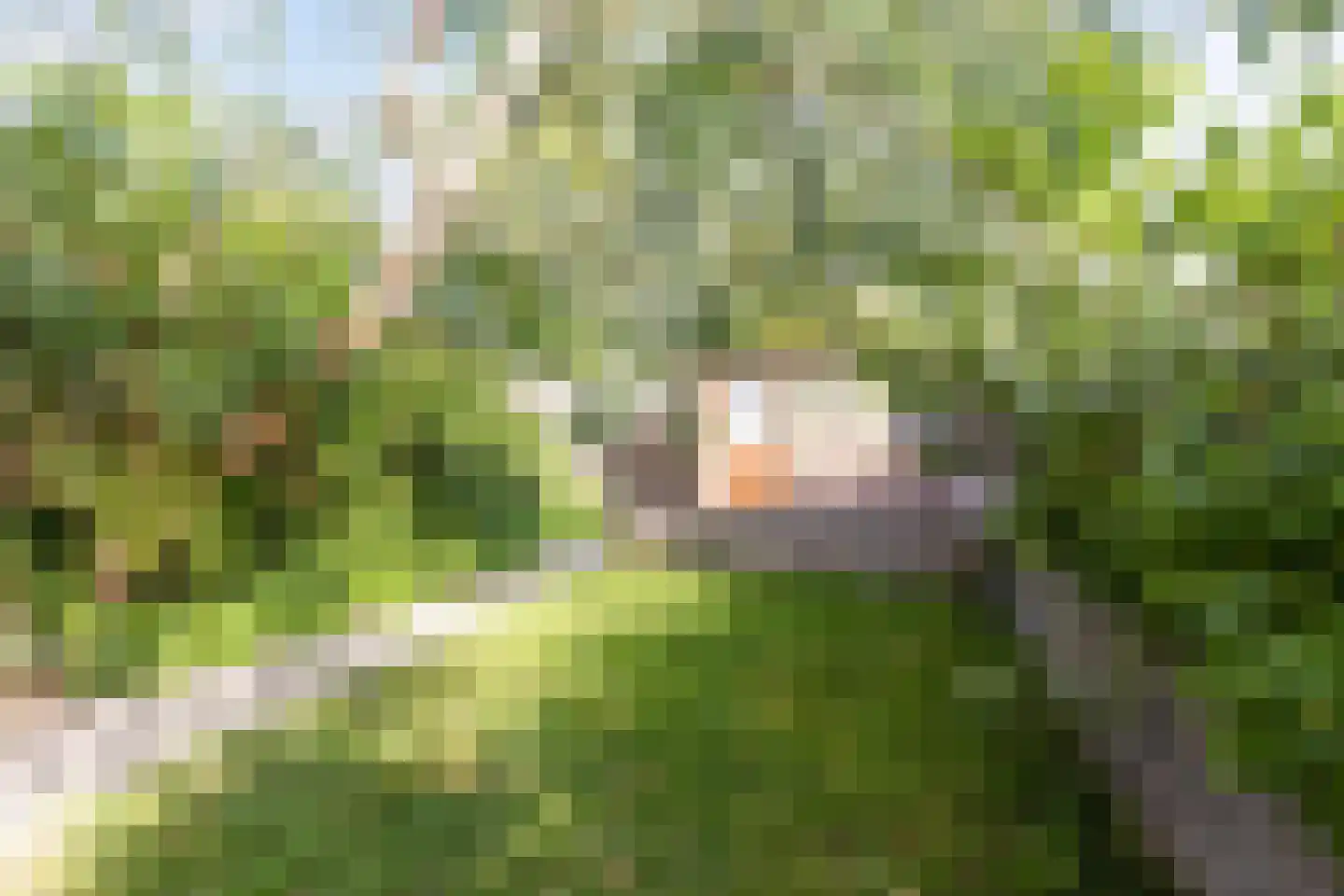 Peter van Anrooylaan 64 Eindhoven thumbnail 38