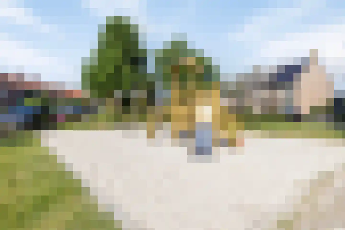 Peter van Anrooylaan 64 Eindhoven thumbnail 43