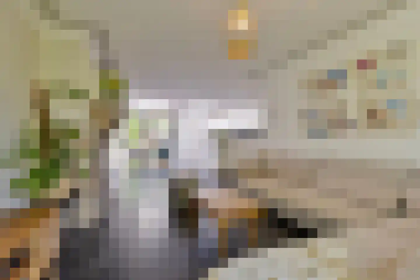 Peter van Anrooylaan 64 Eindhoven thumbnail 7