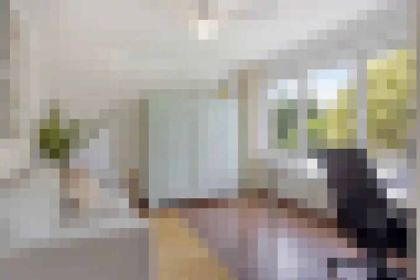 Peter van Anrooylaan 66 Eindhoven thumbnail 18