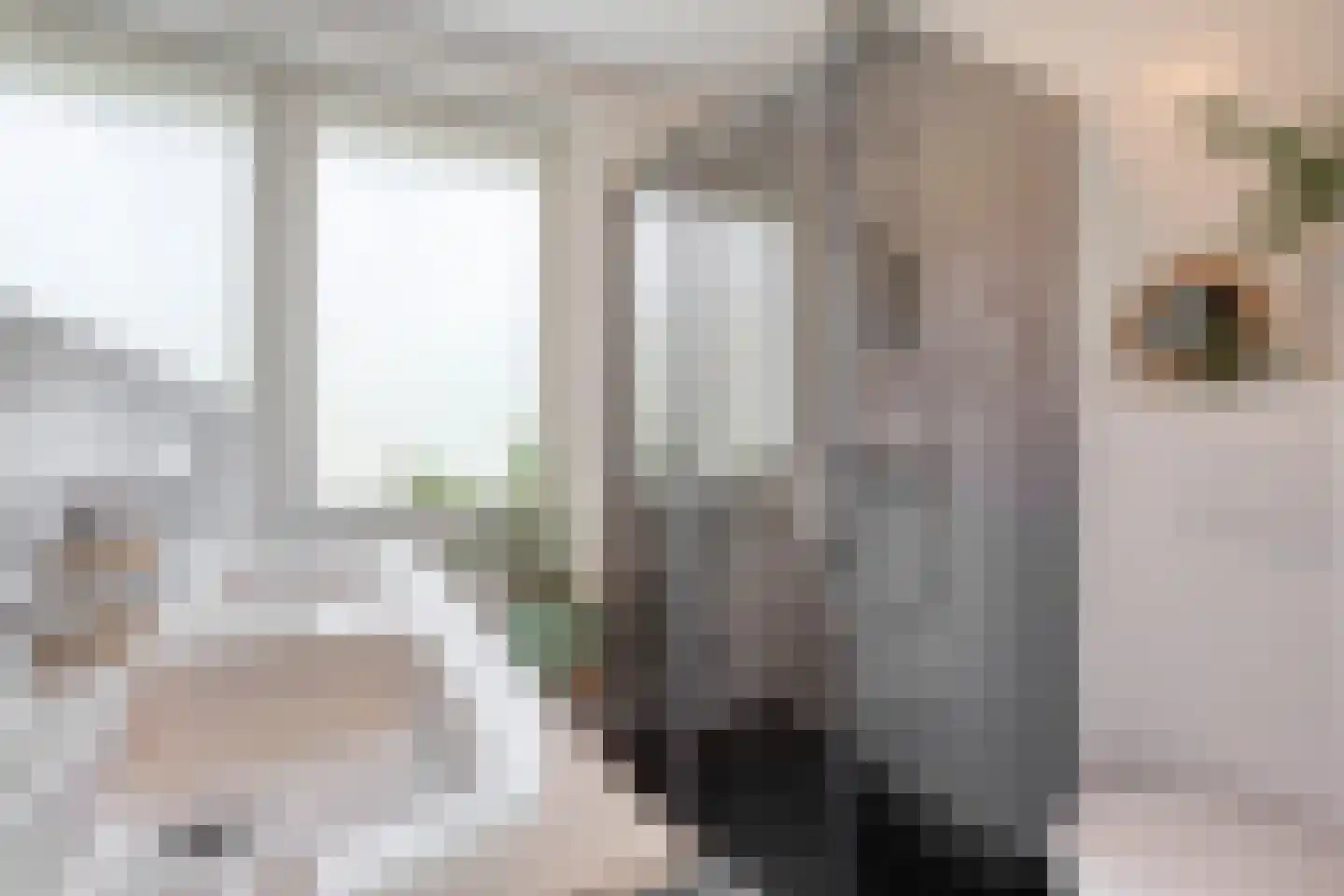 Peter van Anrooylaan 66 Eindhoven thumbnail 20