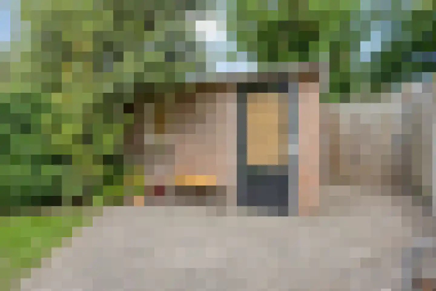 Peter van Anrooylaan 66 Eindhoven thumbnail 34