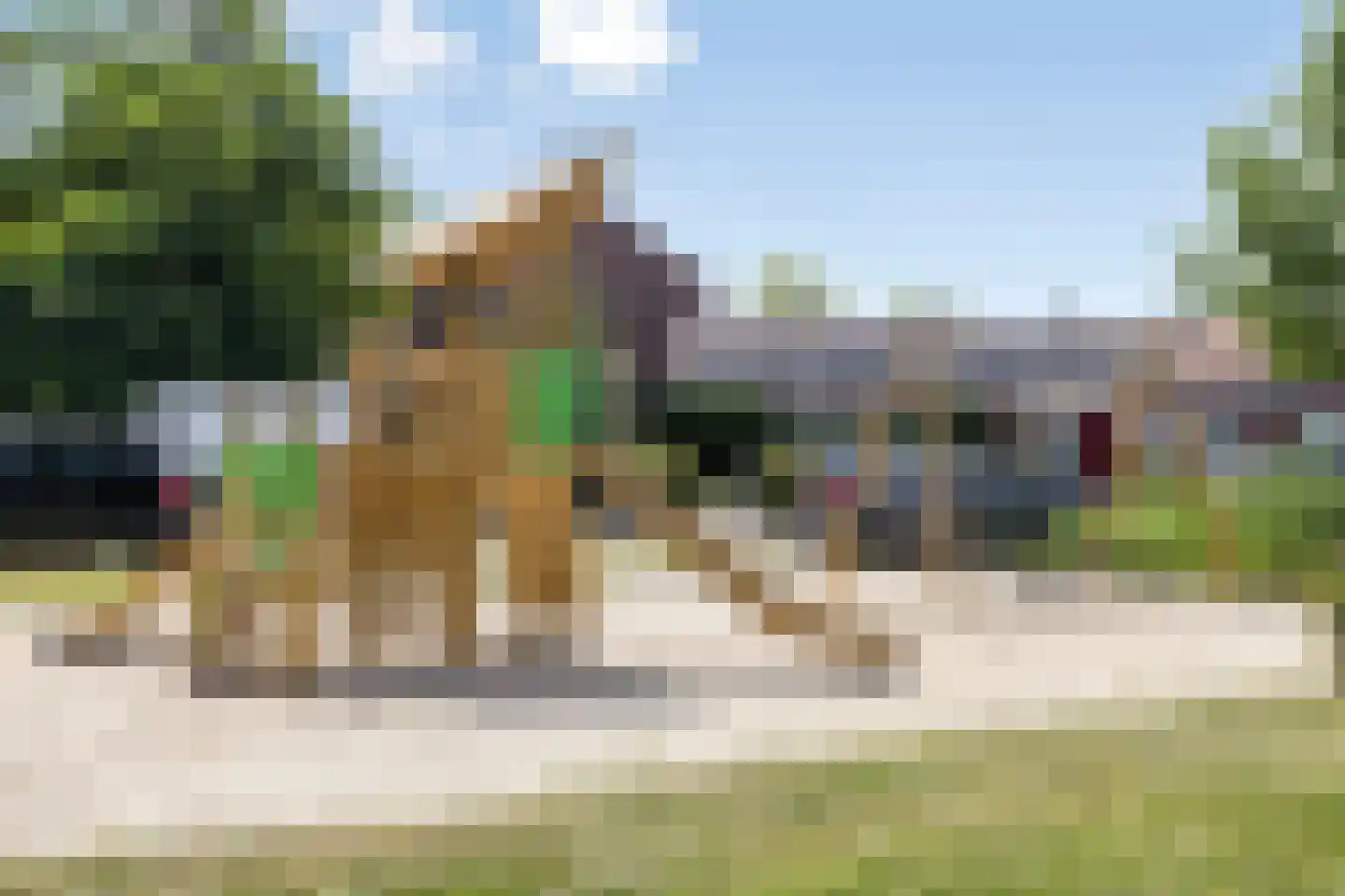 Peter van Anrooylaan 66 Eindhoven thumbnail 37