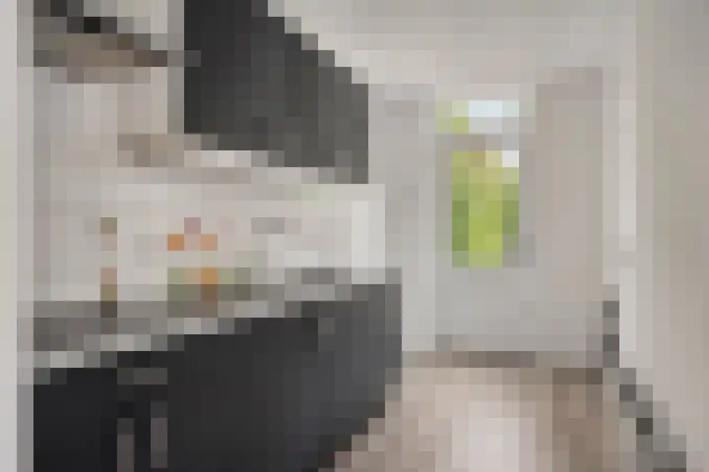Peter van Anrooylaan 70 Eindhoven thumbnail 12