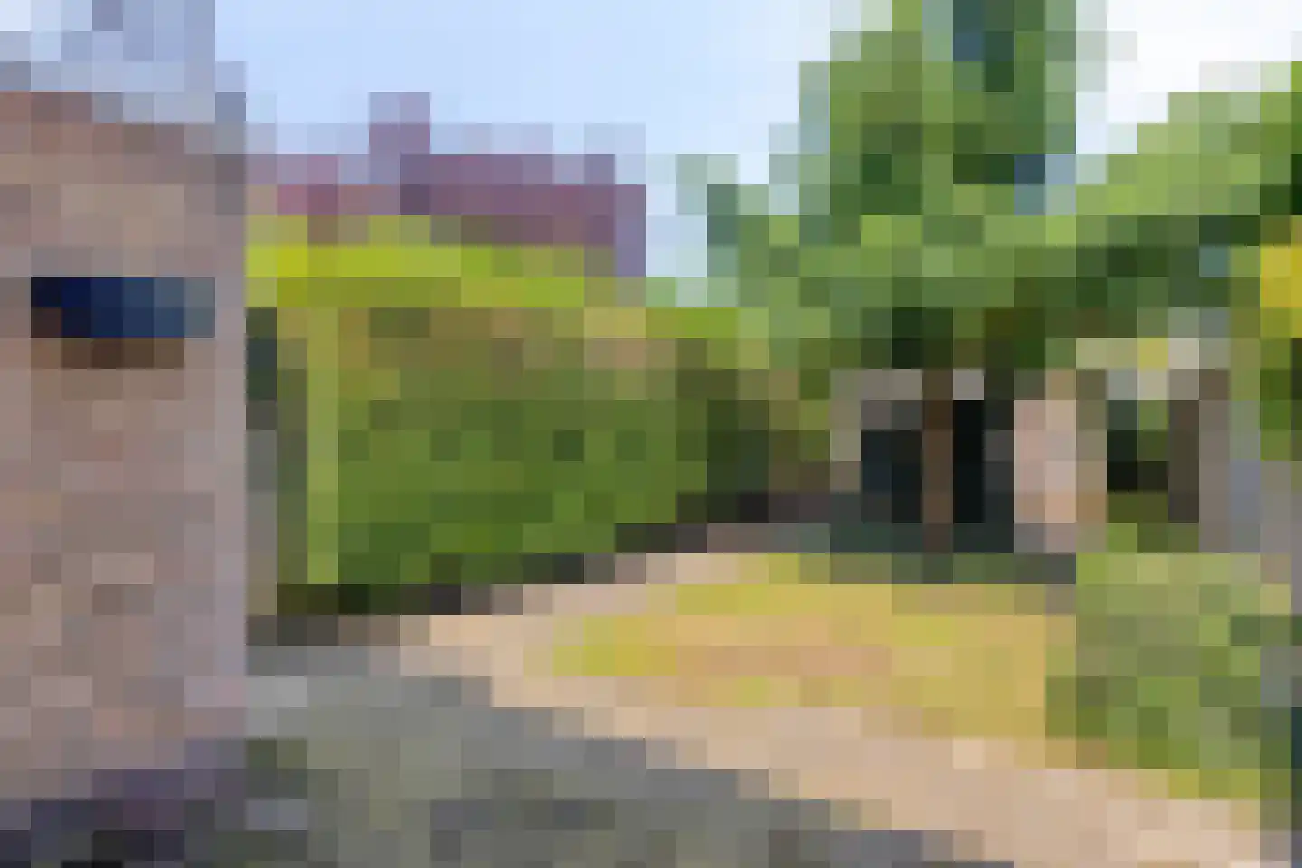 Peter van Anrooylaan 70 Eindhoven thumbnail 31