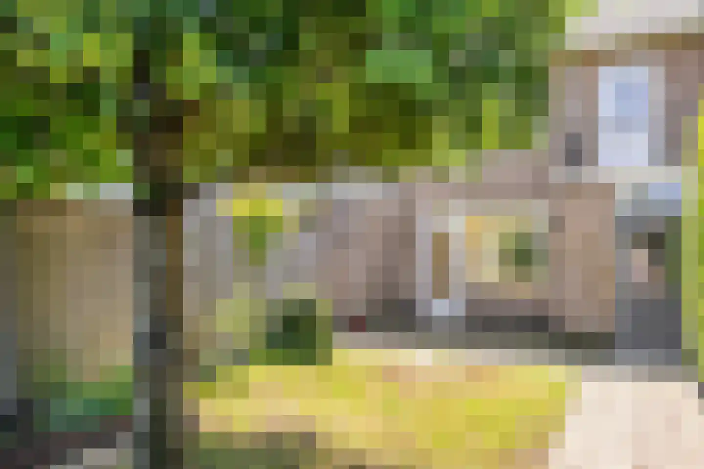 Peter van Anrooylaan 70 Eindhoven thumbnail 33