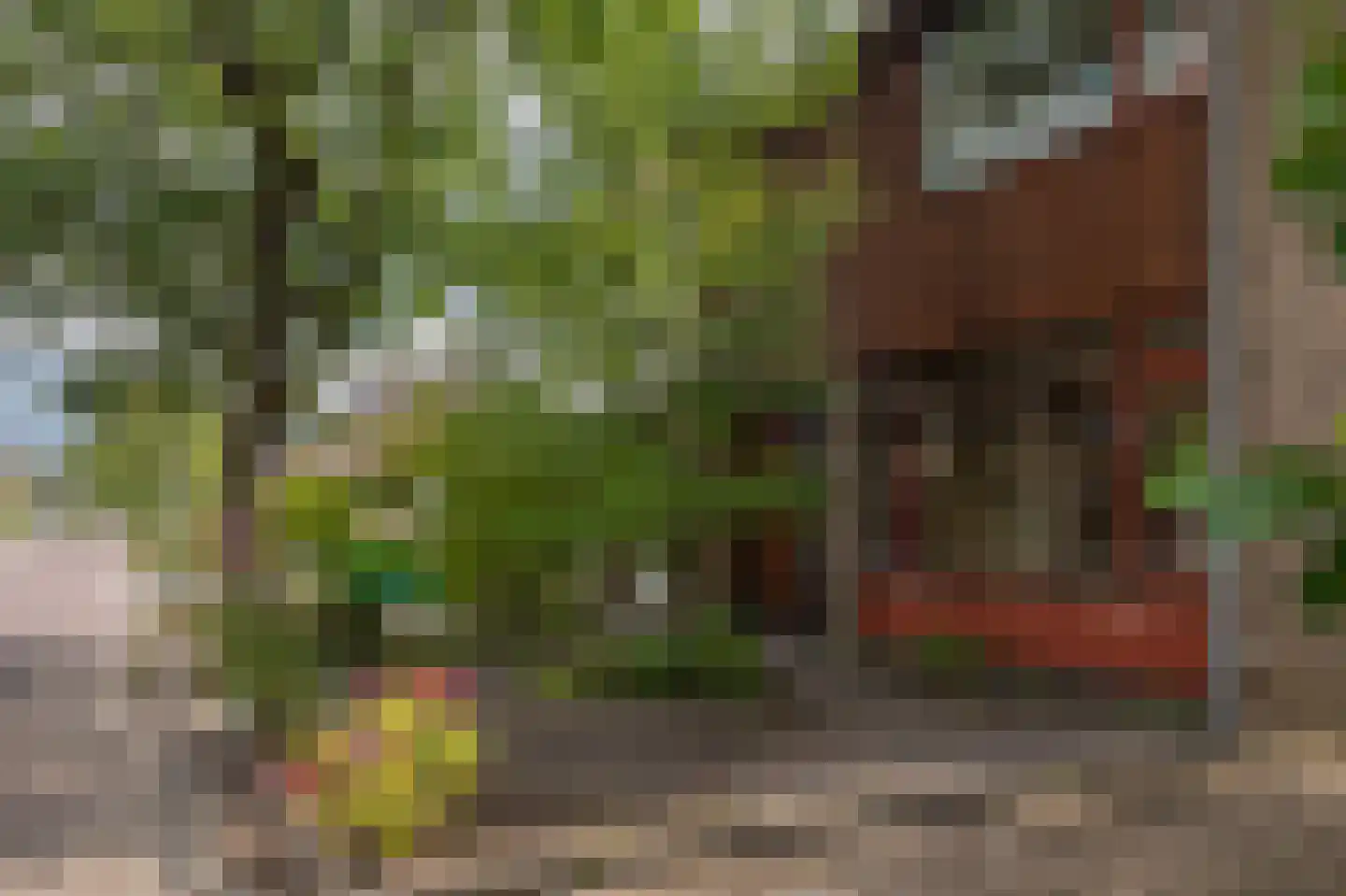 Peter van Anrooystraat 19 Assen thumbnail 10